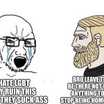 I hate people saying this everywhere on youtube | BRO LEAVE THEM BE THERE NOT DOING ANYTHING TO YOU STOP BEING HOMOPHOBIC; I HATE LGBT THEY RUIN THIS PLANET THEY SUCK ASS | image tagged in soyboy vs yes chad | made w/ Imgflip meme maker