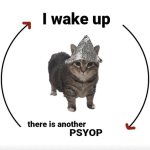 I wake up, there is another psyop