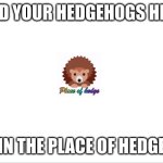 add hedgehogs | ADD YOUR HEDGEHOGS HERE; IN THE PLACE OF HEDGE | image tagged in add hedgehogs | made w/ Imgflip meme maker