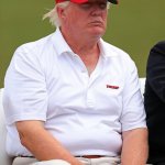 Fat Trump