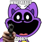 Whats really good | WHAT REALLY; GOOD?! | image tagged in small catnap with a gun,catnap,poppy playtime,guns | made w/ Imgflip meme maker