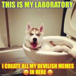 Must Be Why They Are All SHIT !!!  : ) | THIS IS MY LABORATORY; I CREATE ALL MY DEVILISH MEMES
😝 IN HERE 😝 | image tagged in well i tried | made w/ Imgflip meme maker