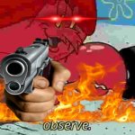 Observe Deluxe Edition