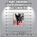 Mugshot | NAME: UNKNOWN 
DOB:  FEBRUARY 2024
AGE: 5 MONTHS; PAROLED:  9/6/24
CRIME:  TRESPASSING INSIDE SCHOOL BUS ENGINE | image tagged in mugshot | made w/ Imgflip meme maker