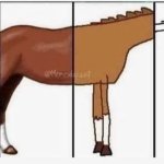 Horse meme