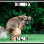 thinking of you