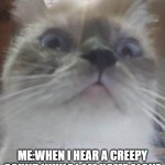 Jumpscared Cat | ME:WHEN I HEAR A CREEPY SOUND WHILE I AM HOME ALONE | image tagged in jumpscared cat | made w/ Imgflip meme maker