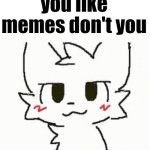 you like memes don't you | you like memes don't you | image tagged in you like kissing boys | made w/ Imgflip meme maker