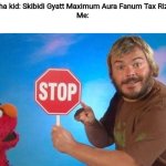 Jack Black Elmo Stop | Gen Alpha kid: Skibidi Gyatt Maximum Aura Fanum Tax Rizz in Oh-
Me: | image tagged in jack black elmo stop,relatable,gen alpha | made w/ Imgflip meme maker