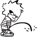 pp