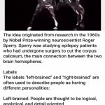 Left Brained vs Right Brained | image tagged in gifs,left brained vs right brained | made w/ Imgflip video-to-gif maker