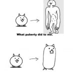 Battle Cats | image tagged in what puberty did to me,battlecats | made w/ Imgflip meme maker