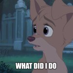 What Did I Do | WHAT DID I DO | image tagged in i want to do something | made w/ Imgflip meme maker