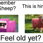 Oh has he gotten old, guess a little too old | Remember PinkSheep? This is him now. Feel old yet? | image tagged in plain white,pink sheep,minecraft,minecraft movie,memes | made w/ Imgflip meme maker