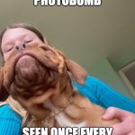 The PLATINUM PHOTOBOMB! | A PLATINUM PHOTOBOMB; SEEN ONCE EVERY 1,000,000,000 MEMES | image tagged in doggie photobomb,dogs,dog,funny memes,memes,puppy | made w/ Imgflip meme maker