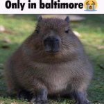 only in baltimore meme