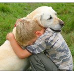 Dog consoling boy