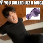 Markiplier Punch | POV: YOU CALLED LUZ A MUGGLE | image tagged in markiplier punch,harry potter,the owl house | made w/ Imgflip meme maker