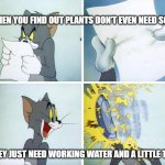 Tom Pie In The Face | "WHEN YOU FIND OUT PLANTS DON’T EVEN NEED SOIL..."; "THEY JUST NEED WORKING WATER AND A LITTLE TLC!" | image tagged in tom pie in the face | made w/ Imgflip meme maker