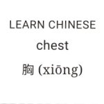 Chest | xiōng