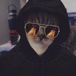 Hacker Cat