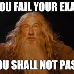 only school people can understand this | IF YOU FAIL YOUR EXAMS; YOU SHALL NOT PASS | image tagged in gandalf you shall not pass ian mckellen | made w/ Imgflip meme maker