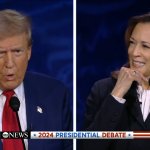 Trump Harris Debate meme