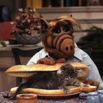 Alf eats a cat