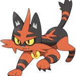 Torracat