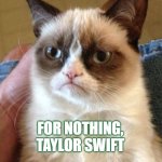 Nice Taylor Swift cat | THANKS ... FOR NOTHING, TAYLOR SWIFT | image tagged in memes,grumpy cat,ohio | made w/ Imgflip meme maker