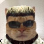 Wesker Cat