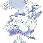 Reshiram