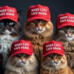 Make cats safe again