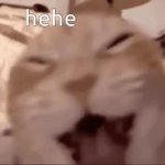 Meow GIF Template