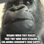 Vegans | VEGANS WHEN THEY REALIZE THAT THEY HAVE BEEN STEALING THE ANIMAL KINGDOM'S FOOD SUPPLY | image tagged in gifs,funny,food,animals,vegan,meat | made w/ Imgflip video-to-gif maker