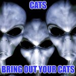 Bring Out Your Cats | CATS; BRING OUT YOUR CATS | image tagged in grey aliens,cats | made w/ Imgflip meme maker