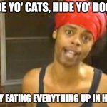 antoine dodson | HIDE YO' CATS, HIDE YO' DOGS. THEY EATING EVERYTHING UP IN HERE. | image tagged in antoine dodson | made w/ Imgflip meme maker