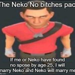 The Neko No Bitches pact