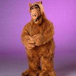 Alf