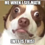 Me when i see math | ME WHEN I SEE MATH; (WTF IS THIS) | image tagged in memes | made w/ Imgflip meme maker