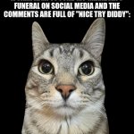 too specific to be a meme | HOW I FEEL AFTER I ADVERTISE A CAMPAIGN TO FUND MY GRANDMA'S FUNERAL ON SOCIAL MEDIA AND THE COMMENTS ARE FULL OF "NICE TRY DIDDY": | image tagged in zazu cat blank stare,memes,cats,animals,relatable,comments | made w/ Imgflip meme maker