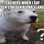 teachers? | TEACHERS WHEN I SAY 
GEN Z OR GEN ALPHA SLANG; TEACHERS: | image tagged in funny meme | made w/ Imgflip meme maker