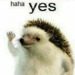 Haha yes