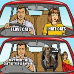 "CATS ARE BAD PETS" - Allergic person | I HATE CATS; I LOVE CATS; meow; DON'T WORRY, SHE CAN'T BOTHER US ANYMORE | image tagged in couple in car,cats,funny | made w/ Imgflip meme maker