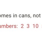 Fortune | Sucess In Cans