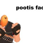 pootis fact