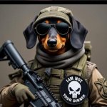 Tactical Dog