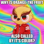 Chibi vanoss on drugs | WHY IS ORANGE, THE FRUIT; ALSO CALLED BY IT'S COLOR? | image tagged in chibi vanoss on drugs | made w/ Imgflip meme maker