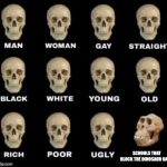 idiot skull | SCHOOLS THAT BLOCK THE DINOSAUR GAME | image tagged in idiot skull | made w/ Imgflip meme maker