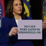 No Cats Were Eaten in Springfield,OH | NO CATS WERE EATEN IN SPRINGFIELD, OH. | image tagged in kamala harris holding sign | made w/ Imgflip meme maker